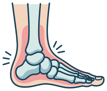 Illustration of foot and ankle anatomy